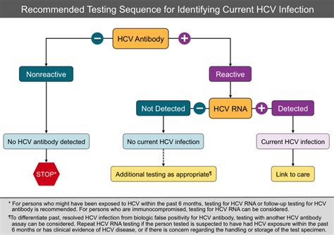what does 0.1 mean on a hep c test|Interpretation of Hepatitis C Test Results: Guidance for  .